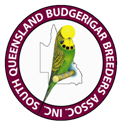 south queensland budgerigar breeders association